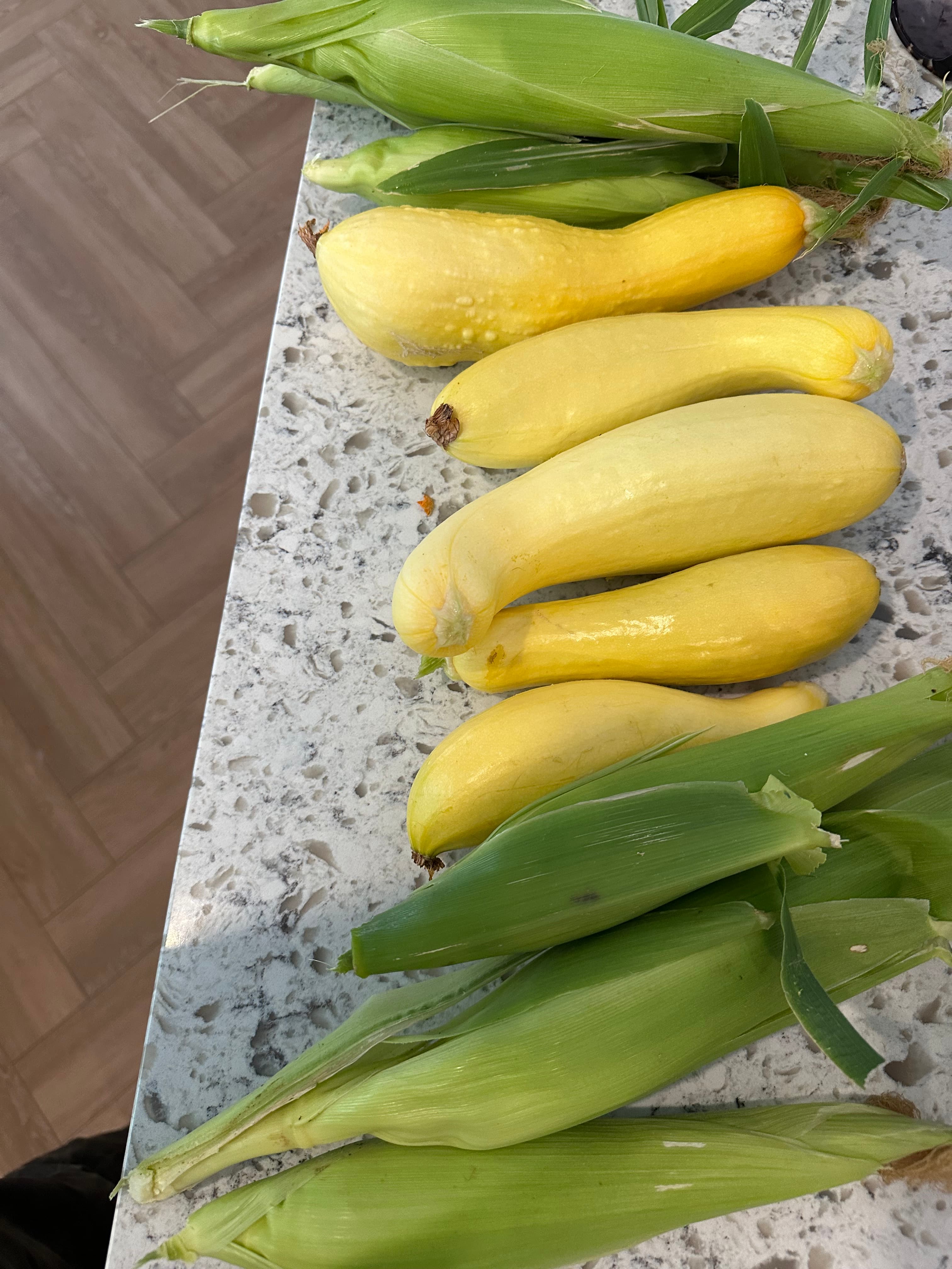 Harvested sweet corn and summer squash, Cody WY