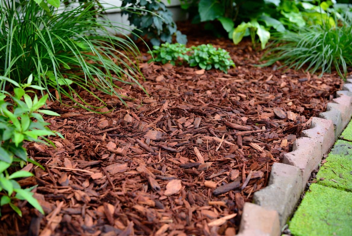 Hardwood bark mulch in a planted landscape bed with brick edging and established perennials